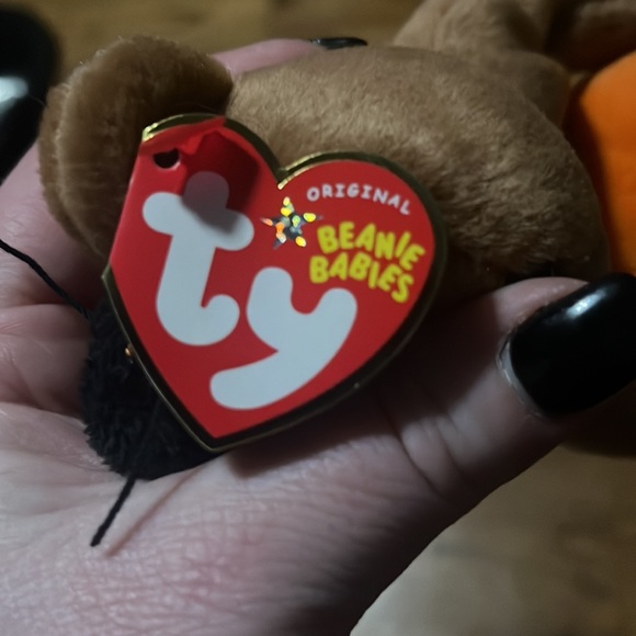 Ty Halloweenie Beanie Baby HOCUS the Halloween Bear (5 Inch) MINT with MINT TAGS - Picture 8 of 11